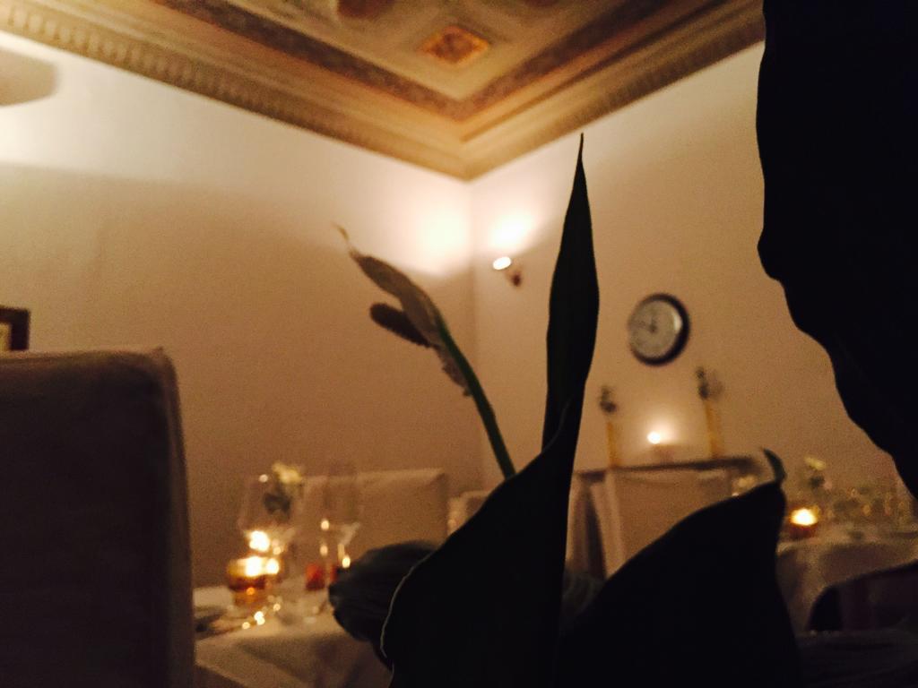 Home Restaurant Hotel Florens Rum bild